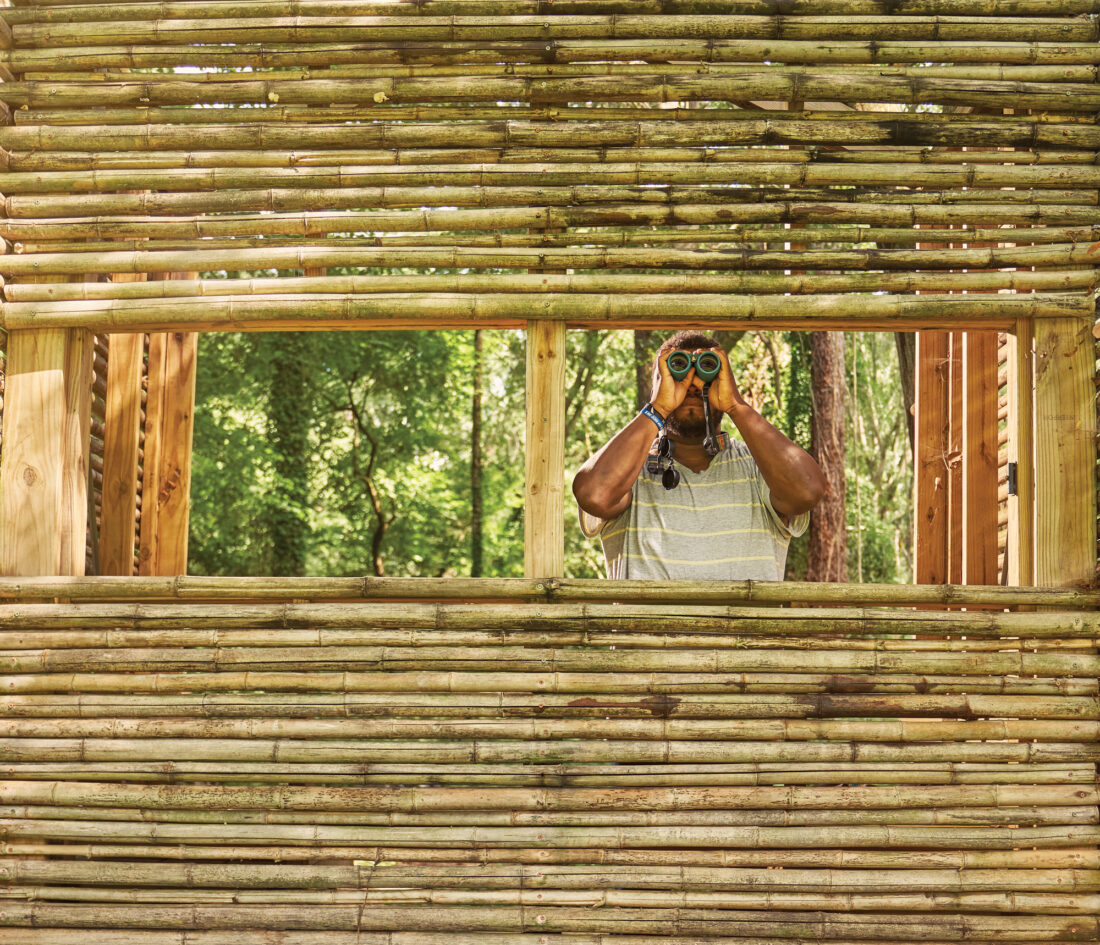 Man looking through bamboo fence with binoculars