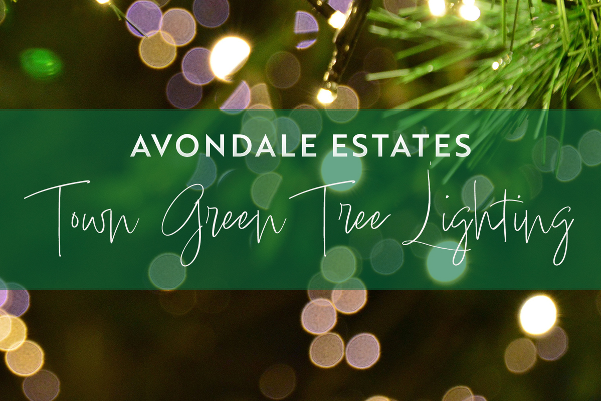 Avondale Estates Town Green Tree Lighting with white sparkling lights on evergreen tree